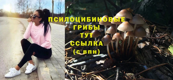 мет Вяземский